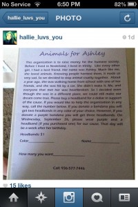 Here's Hallie's flyer that she posted to Instagram.